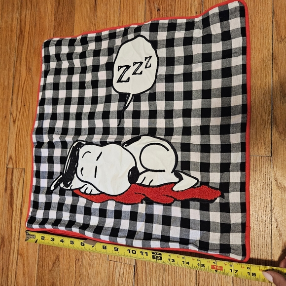 Pottery Barn Teen PEANUTS Pillow Sham Cases Pair (2) - Picture 15 of 15